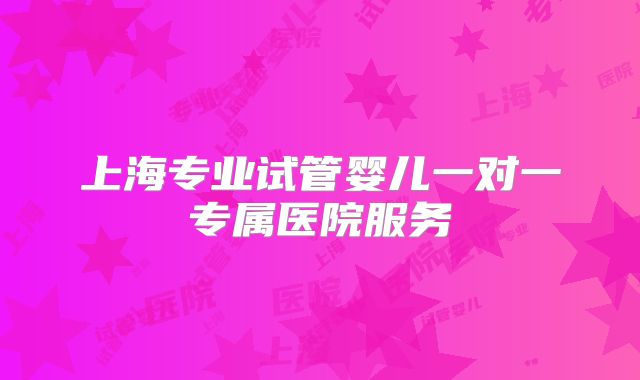 上海专业试管婴儿一对一专属医院服务