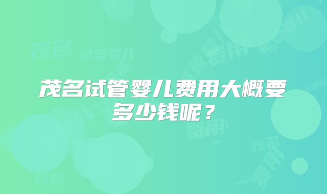 茂名试管婴儿费用大概要多少钱呢？