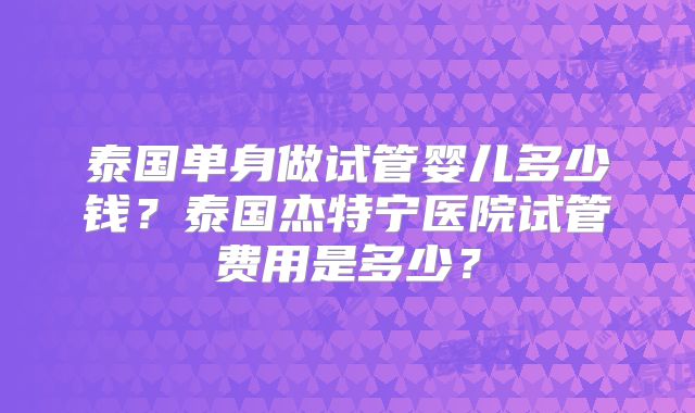 泰国单身做试管婴儿多少钱?泰国杰特宁医院试管费用是多少?
