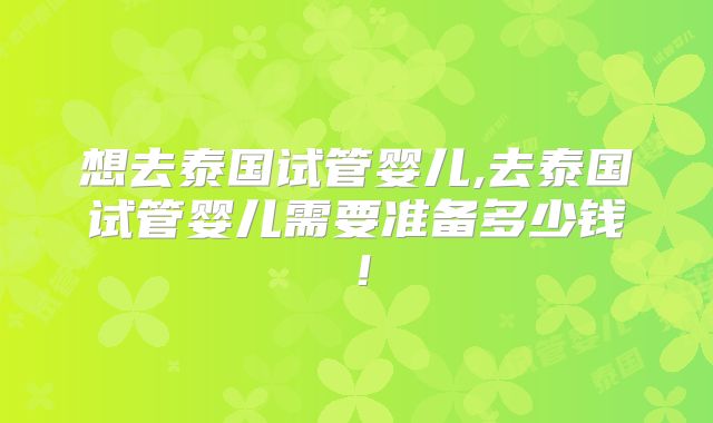 想去泰国试管婴儿,去泰国试管婴儿需要准备多少钱！