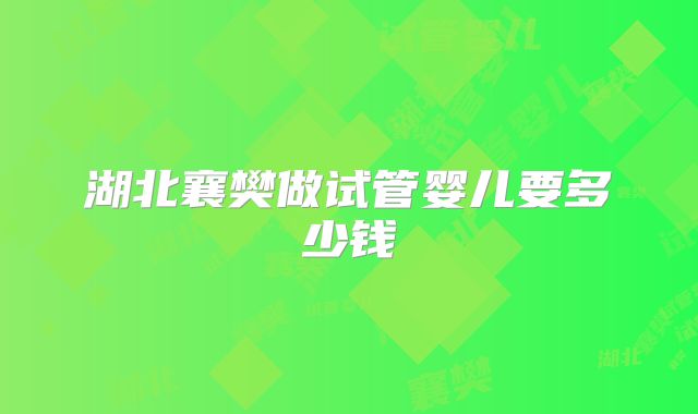 湖北襄樊做试管婴儿要多少钱