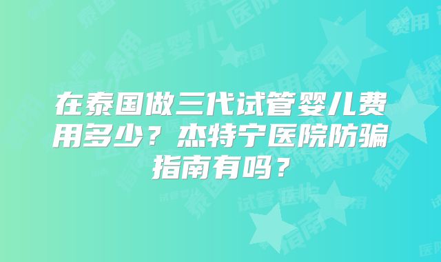 在泰国做三代试管婴儿费用多少？杰特宁医院防骗指南有吗？