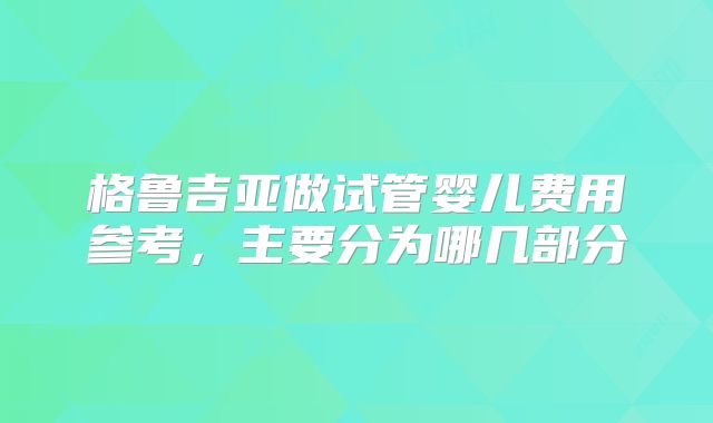 格鲁吉亚做试管婴儿费用参考，主要分为哪几部分