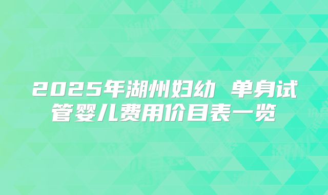 2025年湖州妇幼 单身试管婴儿费用价目表一览