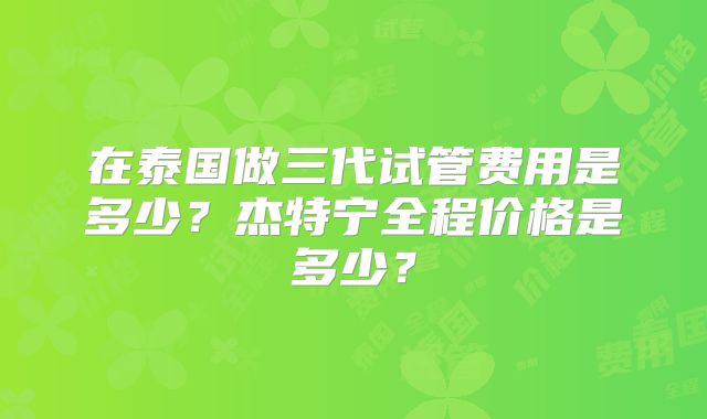 在泰国做三代试管费用是多少？杰特宁全程价格是多少？