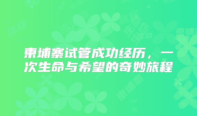 柬埔寨试管成功经历，一次生命与希望的奇妙旅程