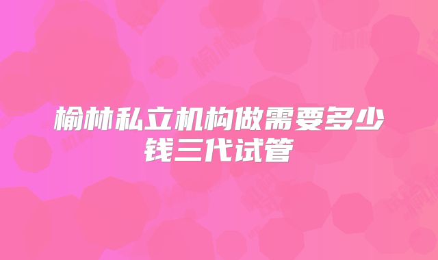 榆林私立机构做需要多少钱三代试管