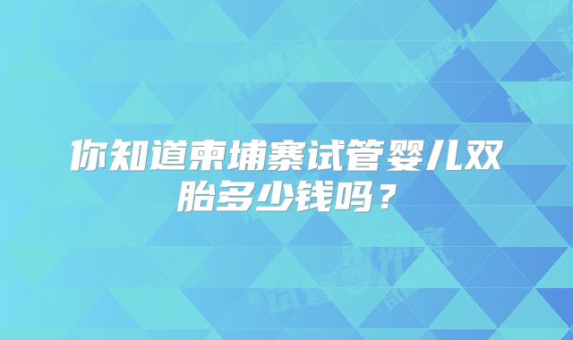 你知道柬埔寨试管婴儿双胎多少钱吗?