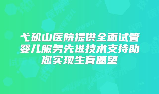 弋矶山医院提供全面试管婴儿服务先进技术支持助您实现生育愿望