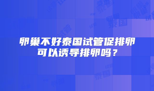 卵巢不好泰国试管促排卵可以诱导排卵吗？