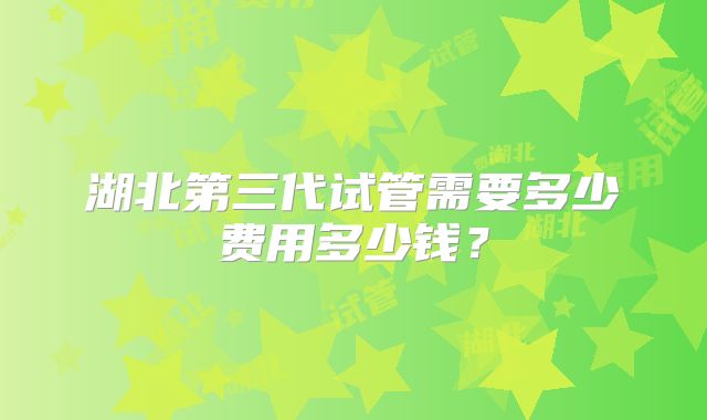 湖北第三代试管需要多少费用多少钱？