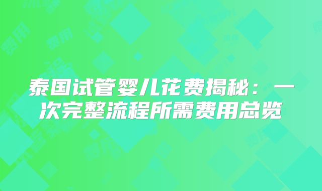 泰国试管婴儿花费揭秘：一次完整流程所需费用总览