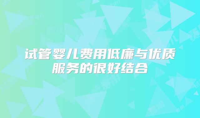 试管婴儿费用低廉与优质服务的很好结合