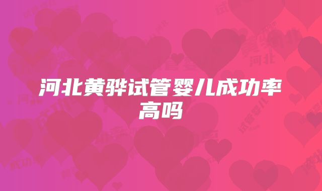 河北黄骅试管婴儿成功率高吗