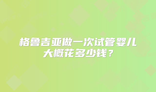 格鲁吉亚做一次试管婴儿大概花多少钱?