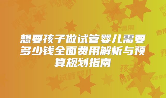想要孩子做试管婴儿需要多少钱全面费用解析与预算规划指南