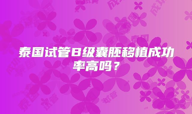 泰国试管B级囊胚移植成功率高吗？