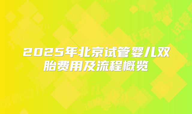 2025年北京试管婴儿双胎费用及流程概览