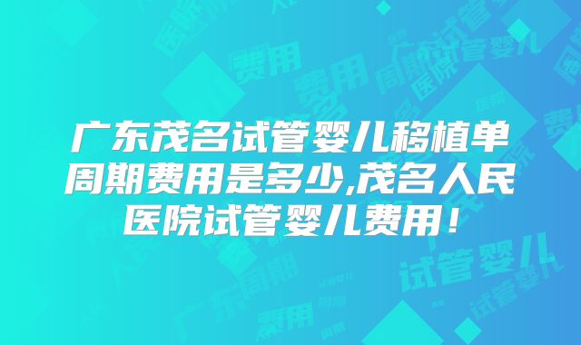 广东茂名试管婴儿移植单周期费用是多少,茂名人民医院试管婴儿费用！