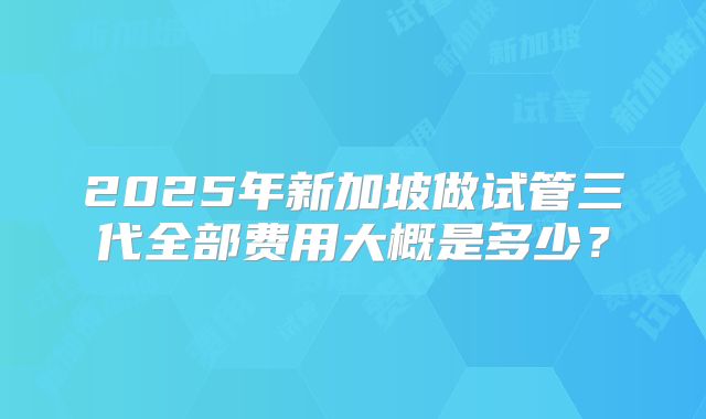 2025年新加坡做试管三代全部费用大概是多少？