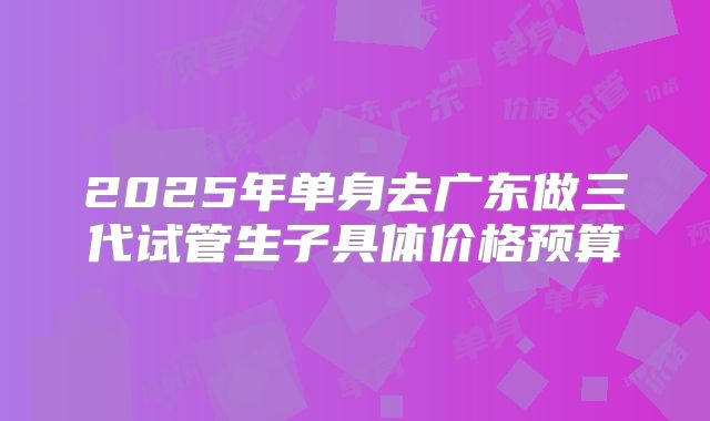 2025年单身去广东做三代试管生子具体价格预算