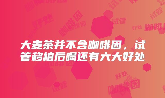 大麦茶并不含咖啡因，试管移植后喝还有六大好处