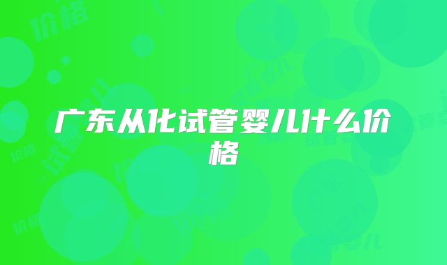 广东从化试管婴儿什么价格