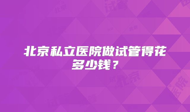 北京私立医院做试管得花多少钱?
