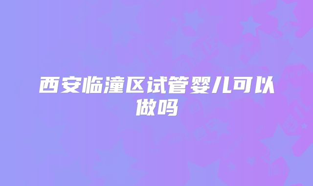 西安临潼区试管婴儿可以做吗