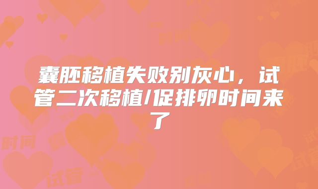 囊胚移植失败别灰心,试管二次移植/促排卵时间来了