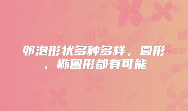卵泡形状多种多样，圆形、椭圆形都有可能