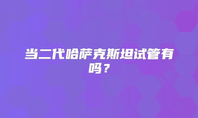 当二代哈萨克斯坦试管有吗？