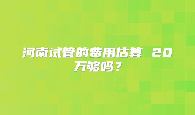 河南试管的费用估算 20万够吗？