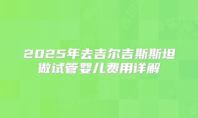 2025年去吉尔吉斯斯坦做试管婴儿费用详解