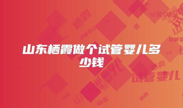山东栖霞做个试管婴儿多少钱