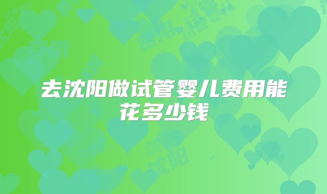 去沈阳做试管婴儿费用能花多少钱