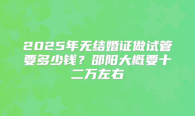 2025年无结婚证做试管要多少钱？邵阳大概要十二万左右