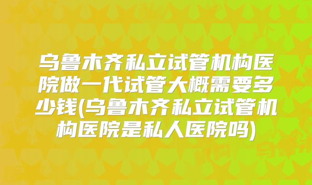 乌鲁木齐私立试管机构医院做一代试管大概需要多少钱(乌鲁木齐私立试管机构医院是私人医院吗)