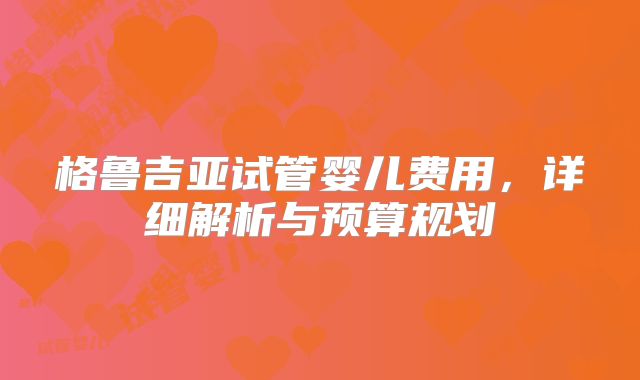 格鲁吉亚试管婴儿费用，详细解析与预算规划