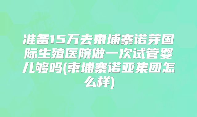 准备15万去柬埔寨诺芽国际生殖医院做一次试管婴儿够吗(柬埔寨诺亚集团怎么样)