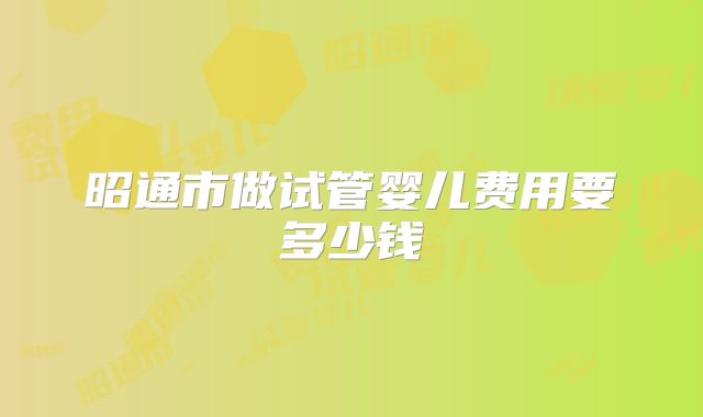 昭通市做试管婴儿费用要多少钱