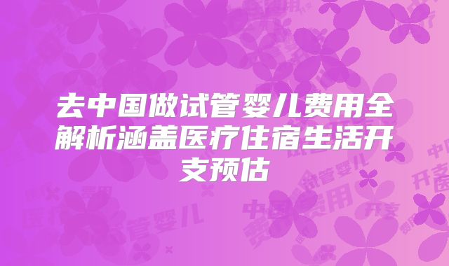 去中国做试管婴儿费用全解析涵盖医疗住宿生活开支预估