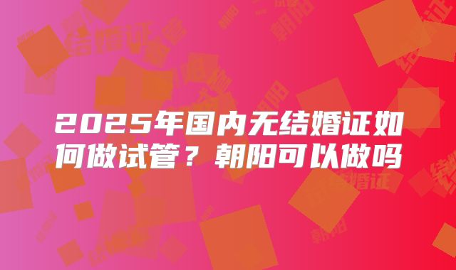 2025年国内无结婚证如何做试管?朝阳可以做吗