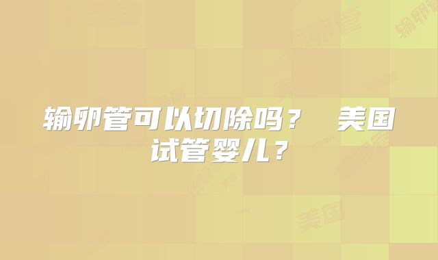 输卵管可以切除吗？ 美国试管婴儿？