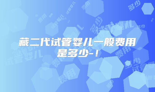 藏二代试管婴儿一般费用是多少-！