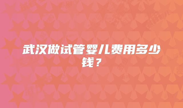 武汉做试管婴儿费用多少钱？