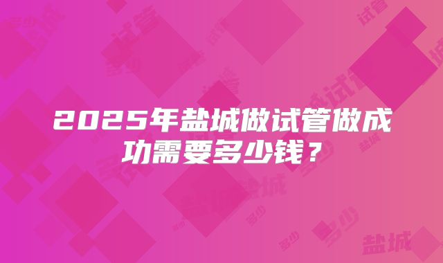 2025年盐城做试管做成功需要多少钱？