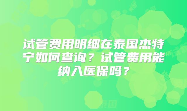 试管费用明细在泰国杰特宁如何查询？试管费用能纳入医保吗？