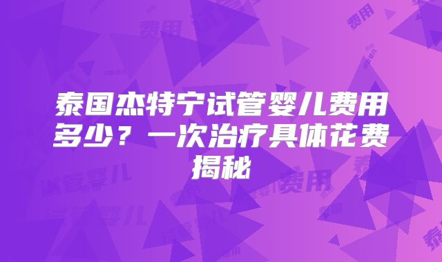泰国杰特宁试管婴儿费用多少？一次治疗具体花费揭秘