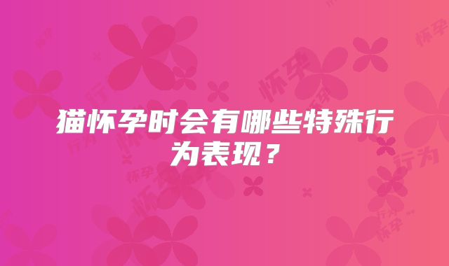 猫怀孕时会有哪些特殊行为表现？